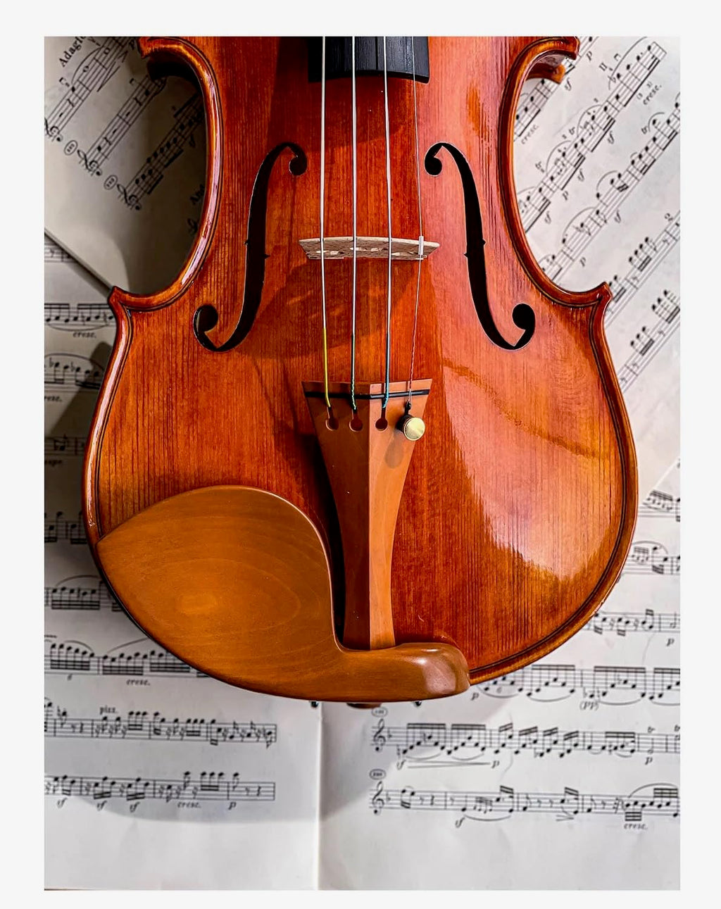 Conrad Götz, ZK-4254, Guarneri Chinrest for Violin 4/4, Rosewood