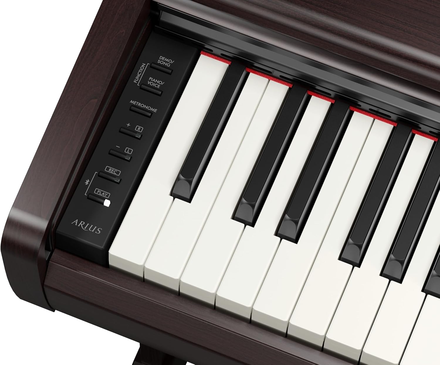 Yamaha Arius Series 88-Key Weighted Digital Piano Keyboard for Beginners, Full Size, Grand Piano Sound, 3-Pedal Unit, Bench Included, Classic Upright Design in Rosewood, YDP146R