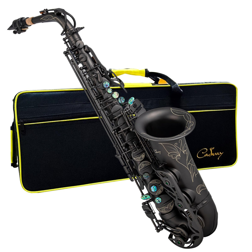 Alto Saxophone Eb beginner Saxophone includes brush canvas suitcase glove whistle piece cork plaster wipe cloth neck strap and other accessories (Gold)