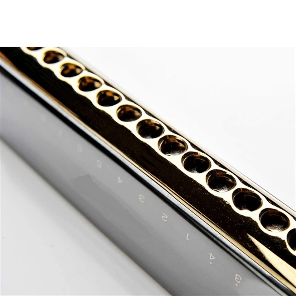 Professional 16 Holes 64 Tone Chromatic Harmonica Mouth Organ Blues Harp Music Instrumentos Key C Musical Instruments (Color : Black ABS Comb)
