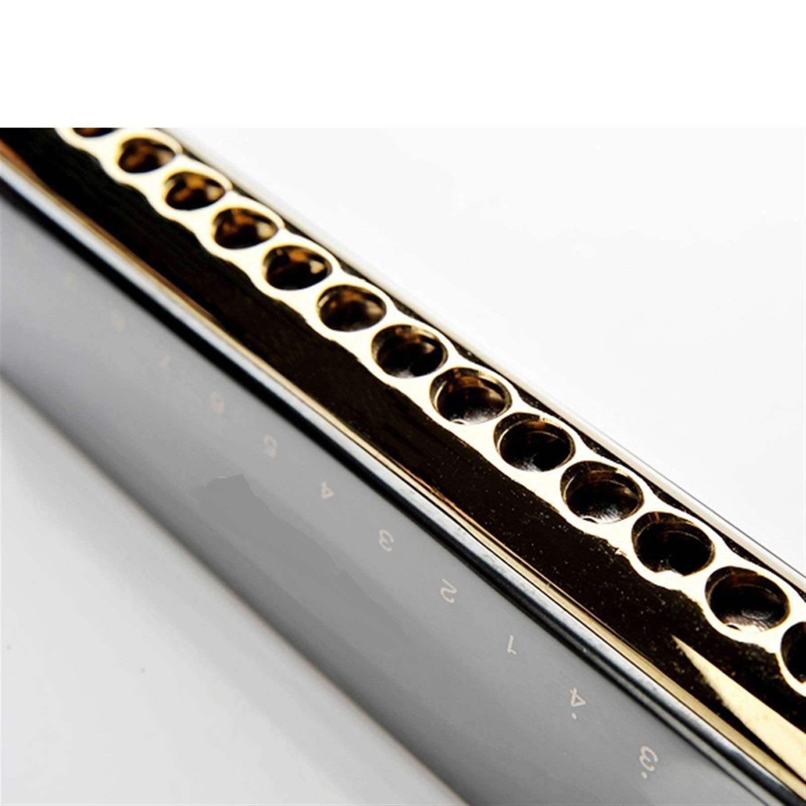 Professional 16 Holes 64 Tone Chromatic Harmonica Mouth Organ Blues Harp Music Instrumentos Key C Musical Instruments (Color : Black ABS Comb)