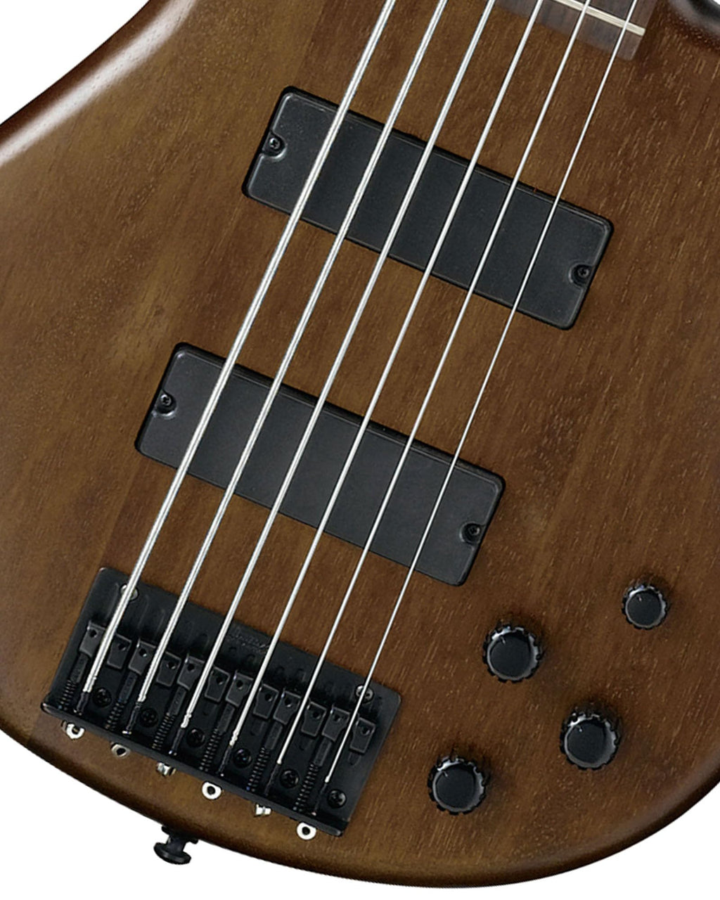 Ibanez GSR205B SR Gio 5-String Bass Guitar - Walnut Flat Bundle with Gig Bag, Tuner, Strap, Cable, Austin Bazaar Instructional DVD, and Polishing Cloth