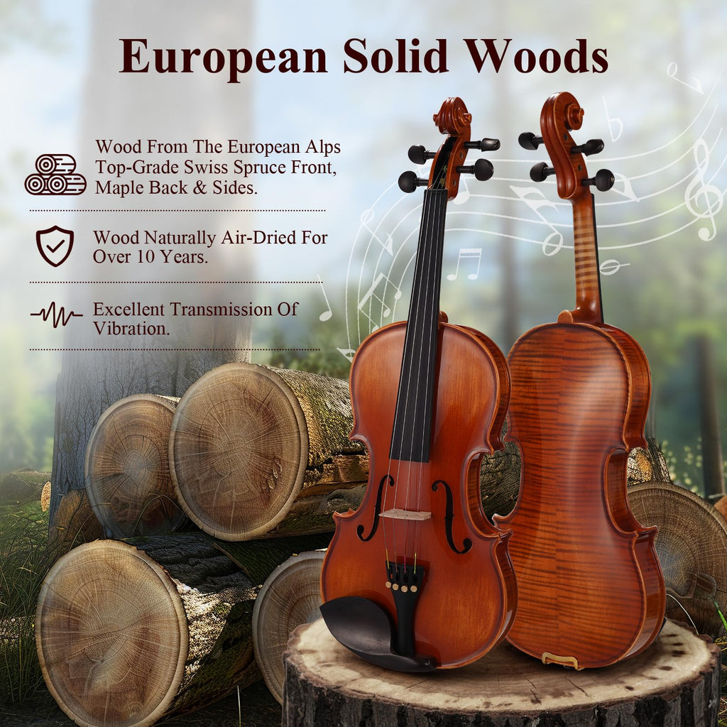 PHOENIX Violin 4/4 Full Size Kit, Violin Fiddle Set for Beginner Adults with Rosewood Bow Extra Strings & Bridge (Entry-level, Full)