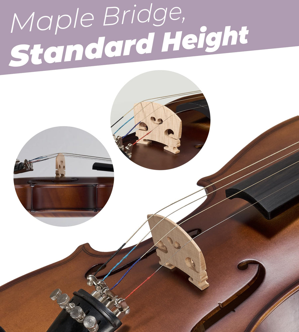 Vangoa Violin 4/4 Full Size Set, Varnish Fiddle Solid Wood for Professional Adults Senior Intermediate Beginners Student Starter Acoustic Violins Kit Outfit with Ebony Fitted, Hard Case, Right Handed