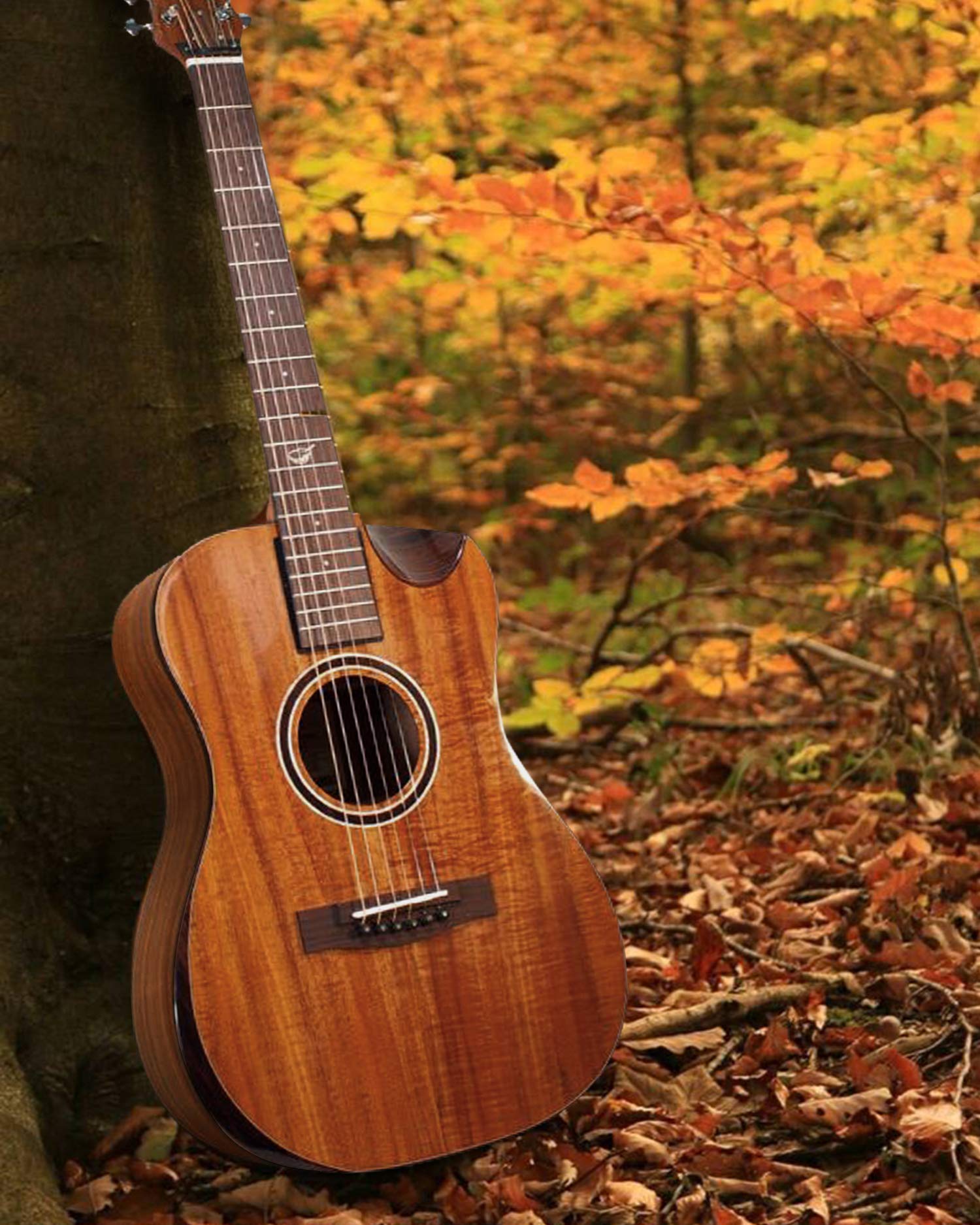 Journey Instruments Solid Sitka Acoustic Collapsible Travel Guitar PJ410N | Traveling Acoustic Guitar with Collapsible Patented System, Portable Backpack Case (African Mahogany)