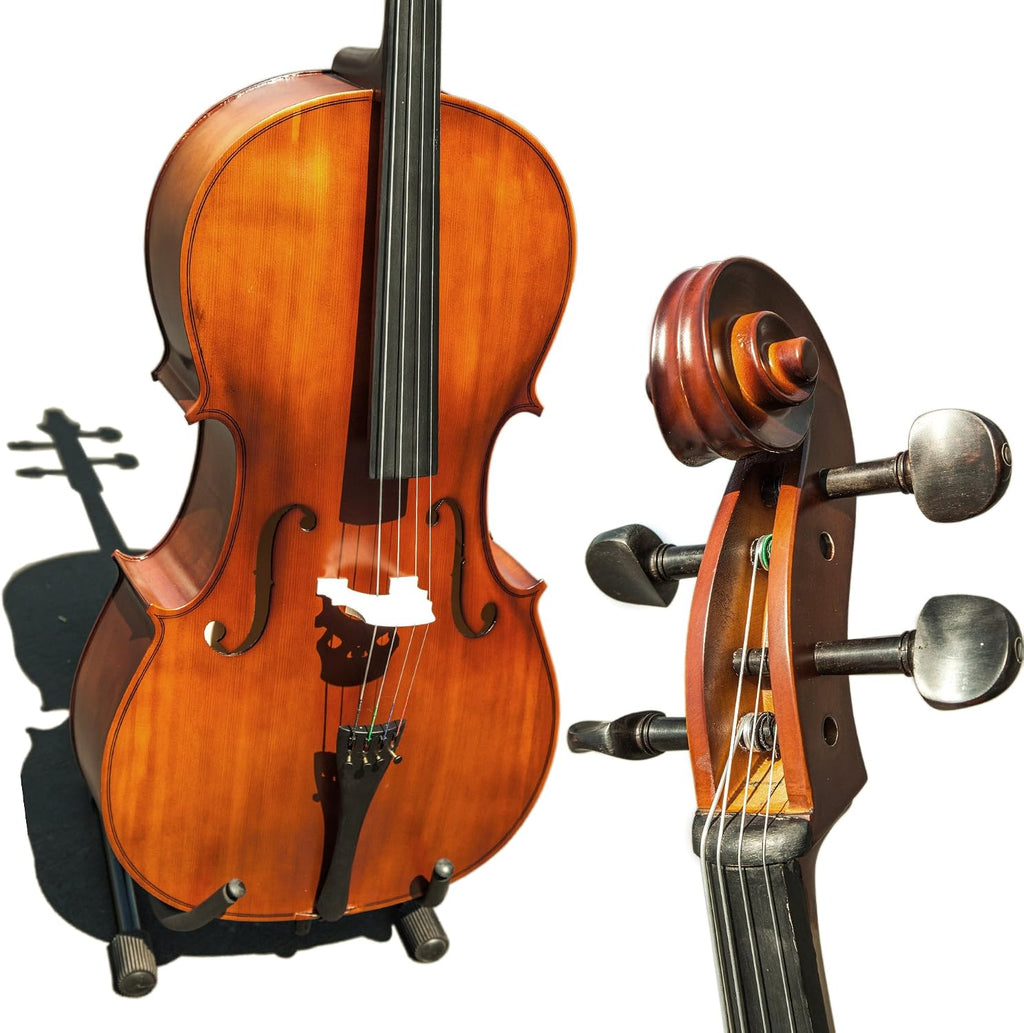 Paititi PTTCE3005PE-44 Acoustic Cello