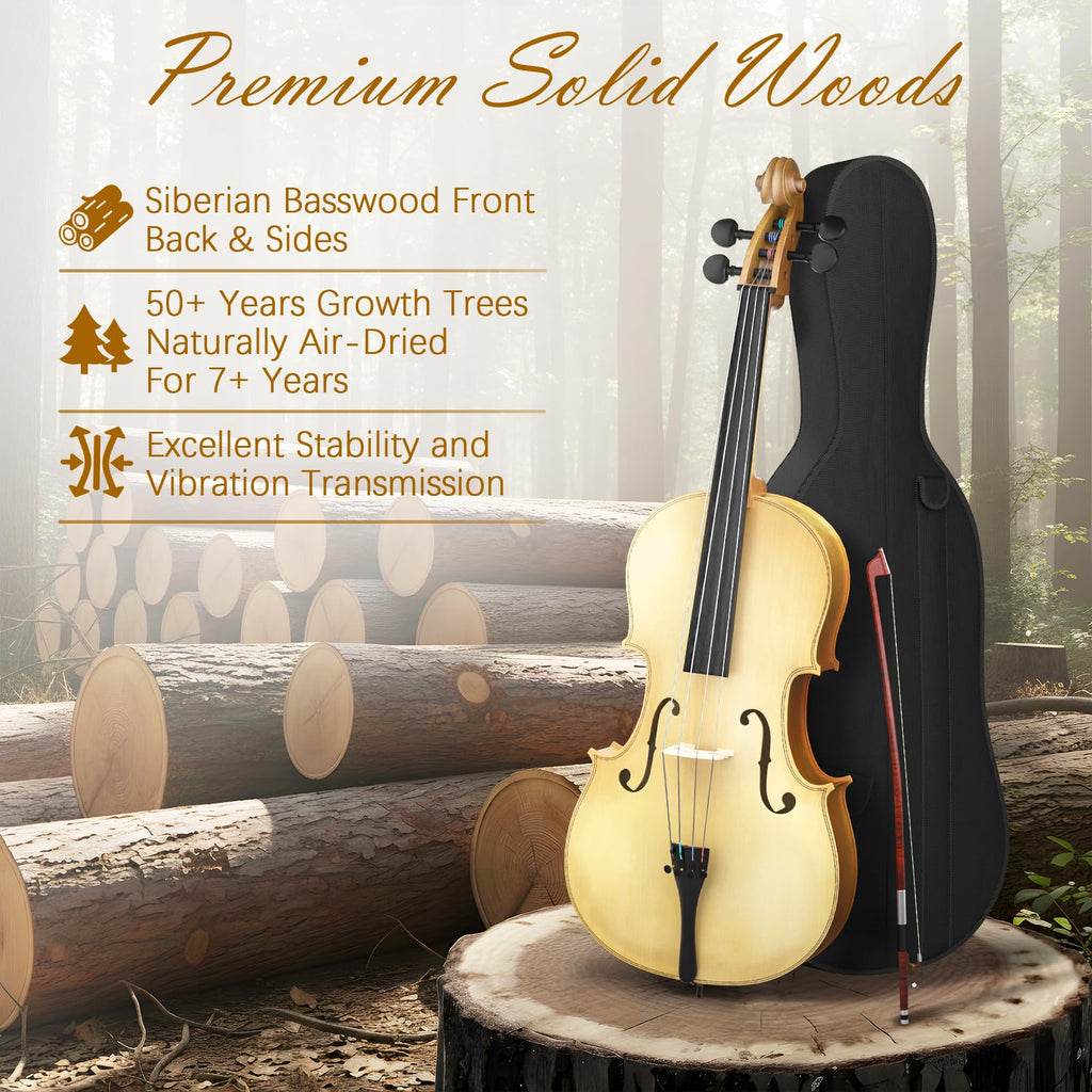 Cello 4/4 Kit, Full Size Cello for Adults, Students, Beginners, Complete Acoustic Cello Instrument Set with Portable Bag, Bow, Rosin, Black