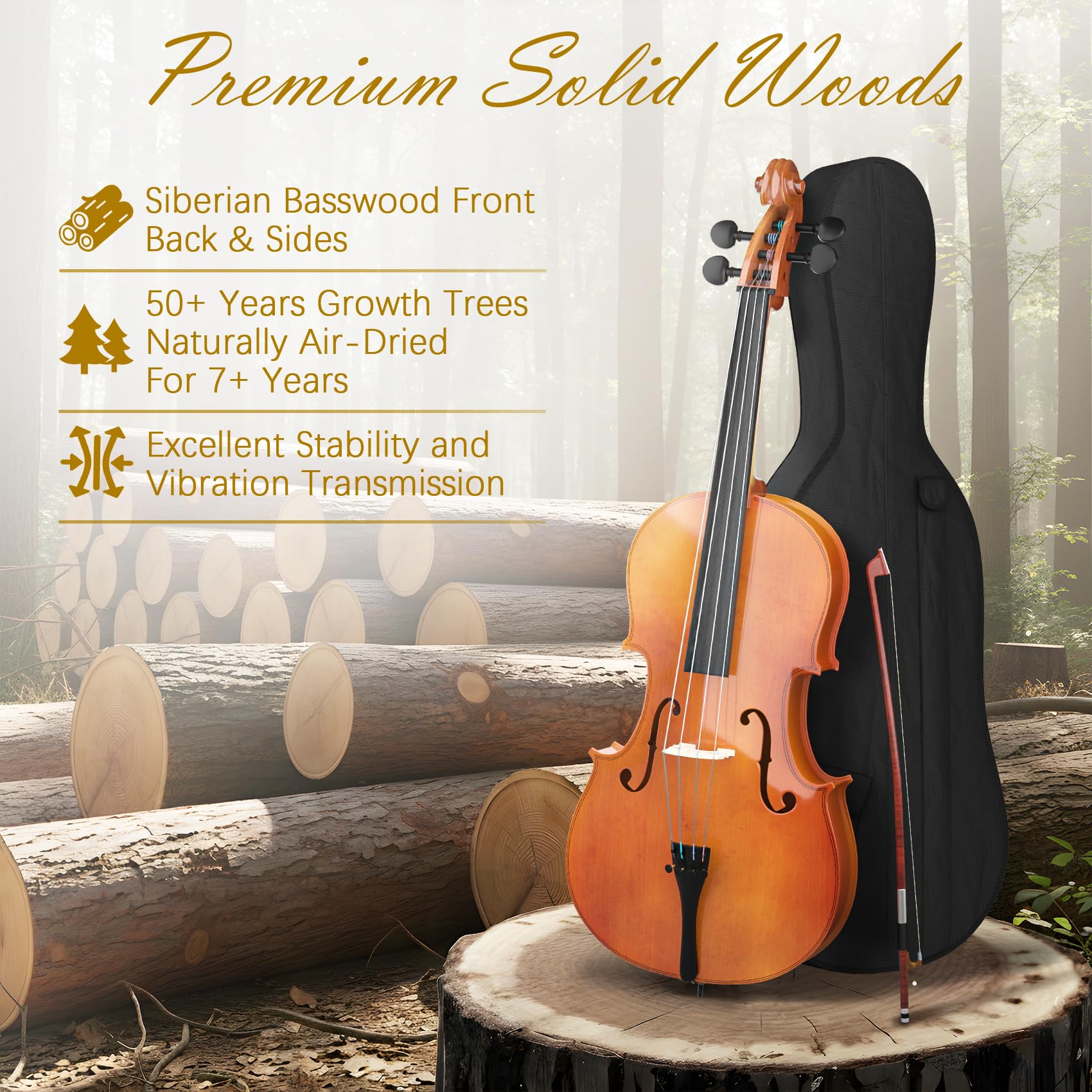 Cello 4/4 Kit, Full Size Cello for Adults, Students, Beginners, Complete Acoustic Cello Instrument Set with Portable Bag, Bow, Rosin, Black