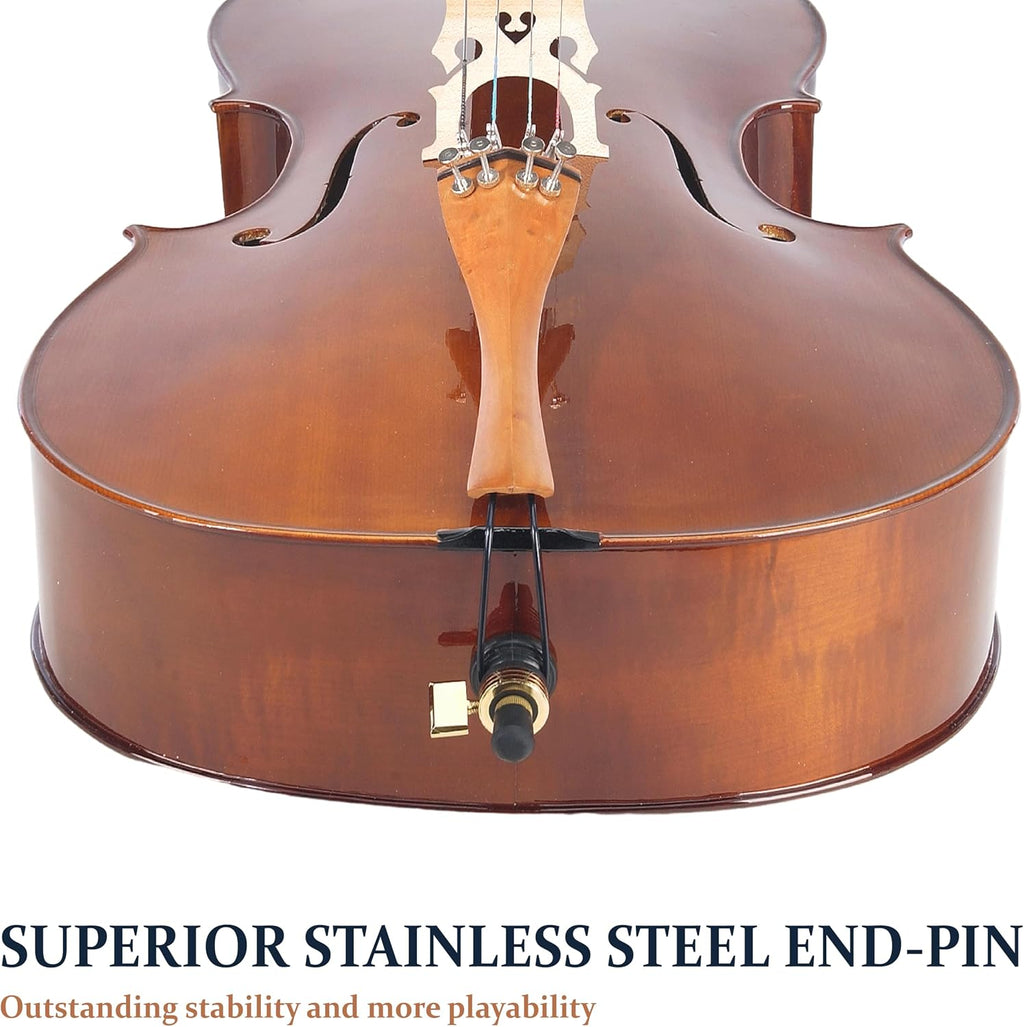 Cecilio CCO-300 Solid Wood Cello with Hard & Soft Case, Stand, Bow, Rosin, Bridge and Extra Set of Strings, Size 4/4 (Full Size)