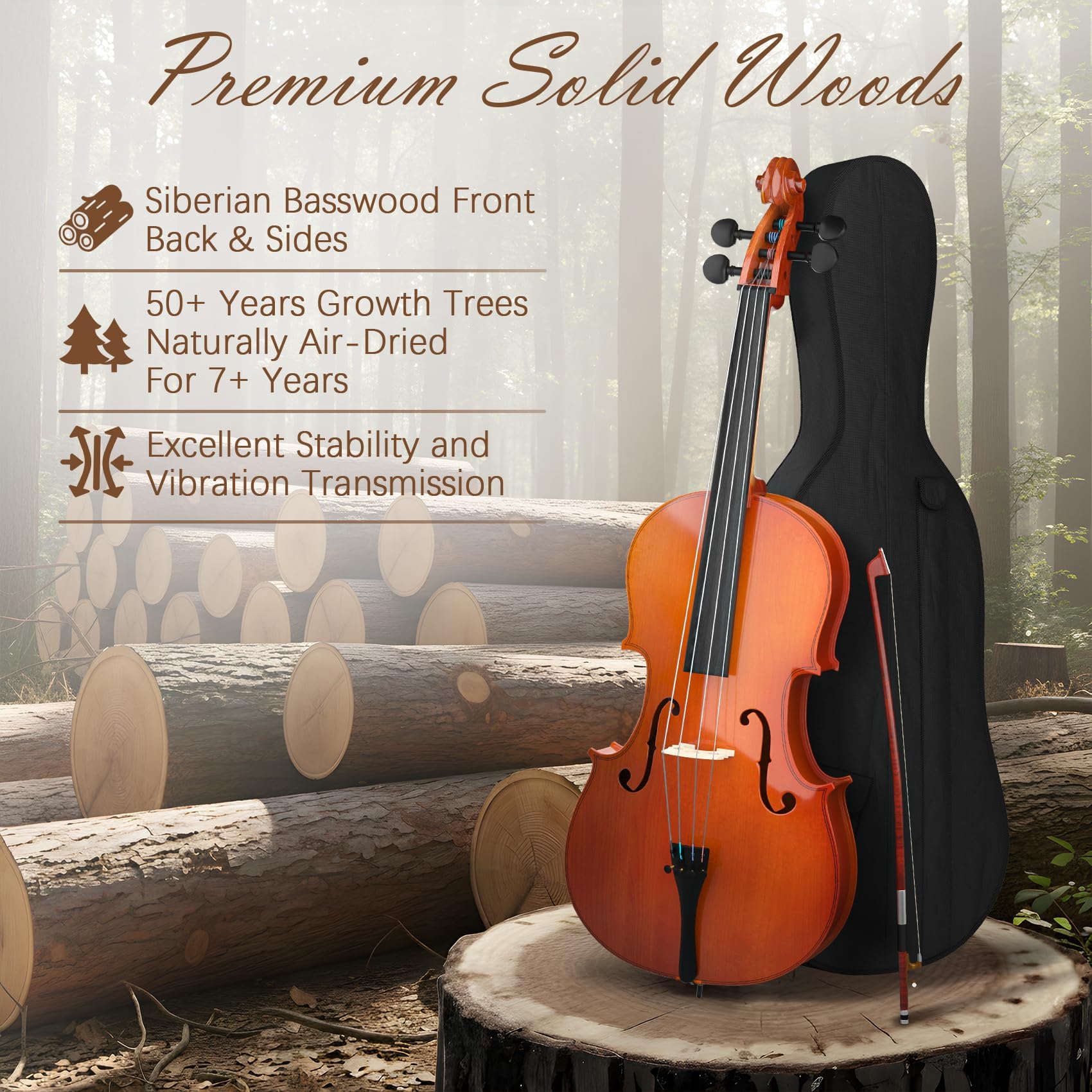 Full Size Cello Kit, Acoustic Cello Instrument for Adults,Beginners,Students,Complete Cello 4/4 Set with Portable Bag, Bow, Rosin (Black)