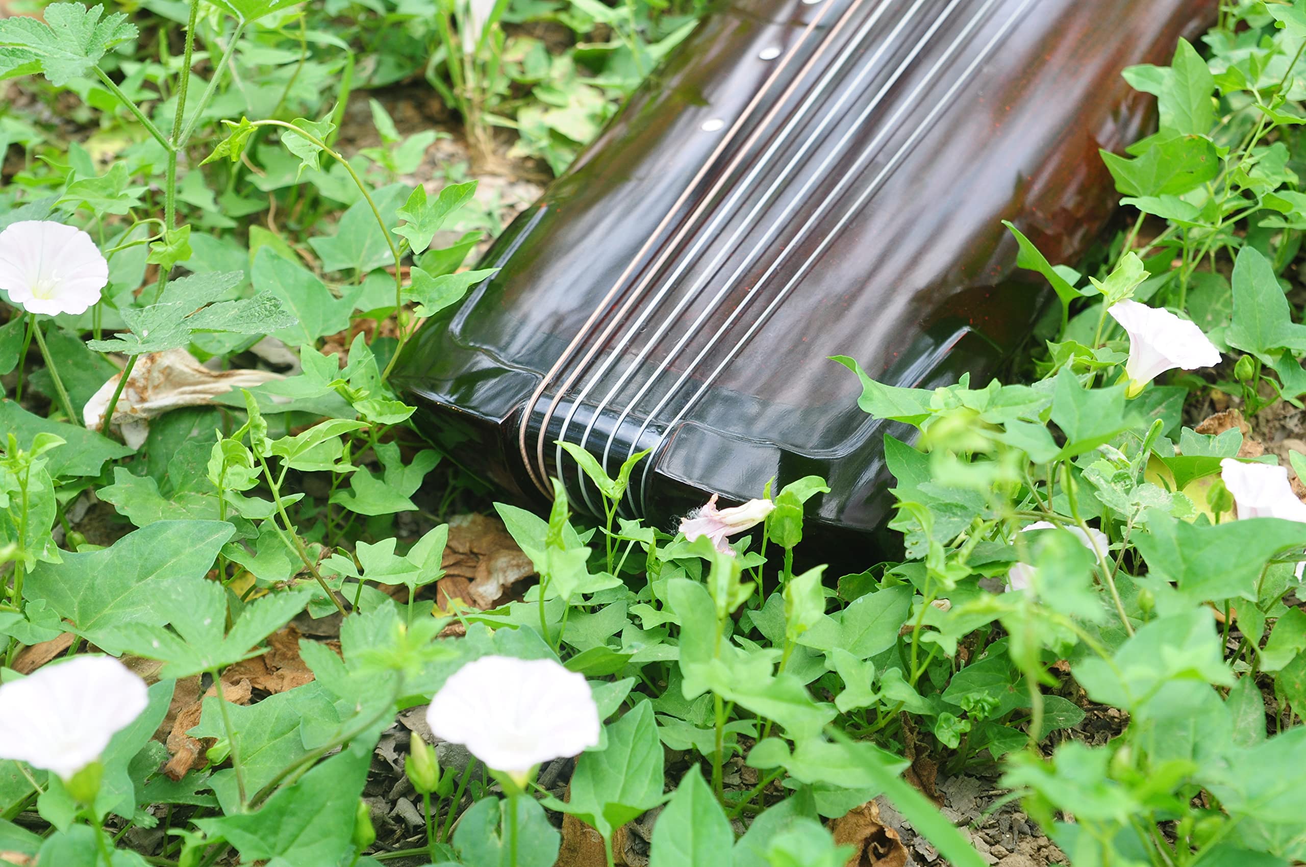 LANDTOM High Level 60+ Years Fir Wood Guqin (Gelatinum Cornus cervis/Lu Jiao Shuang Antler Frost included) for Beginner and Intermediates