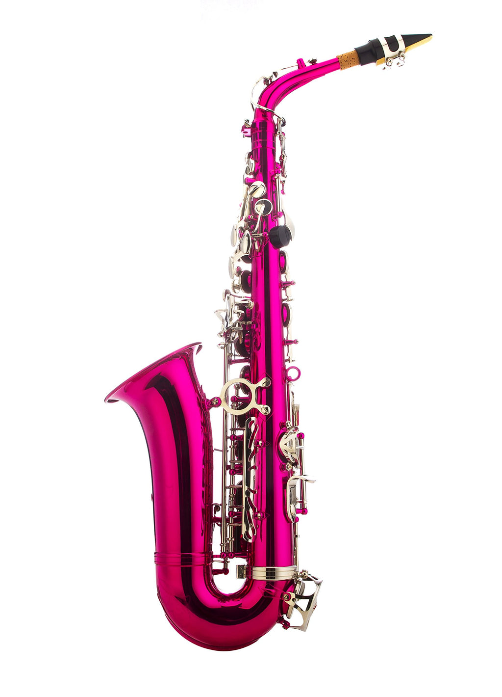 Glory Black Laquer E Flat Alto Saxophone with 11reeds,8 Pads cushions,case,carekit