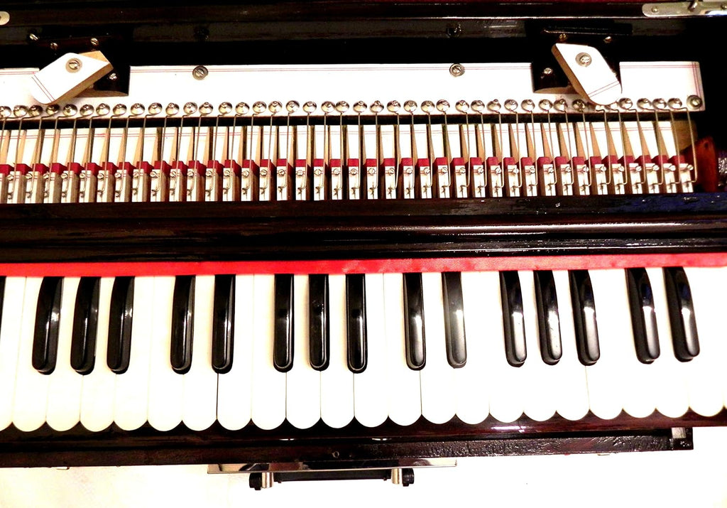 Brass Indian Handmade Deluxe Portable Harmonium, Dark Mahogany, 2 Reeds, 3.5 Octaves