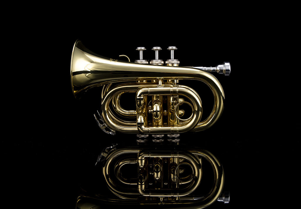 Glory Bb Pocket Trumpet with Case,Cleaning Cloth, Gloves, Black