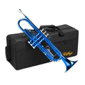 LeSage Bb Standard Trumpet Set for Beginner, Brass Student Trumpet with Carrying Case, Care Kit, Valve Oil, Cloth, 7C Mouthpiece & Gloves Silver