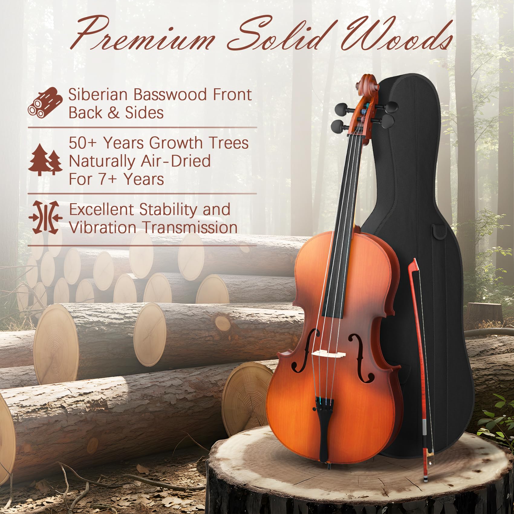 Cello 4/4 Kit, Full Size Cello for Adults, Students, Beginners, Complete Acoustic Cello Instrument Set with Portable Bag, Bow, Rosin, Black