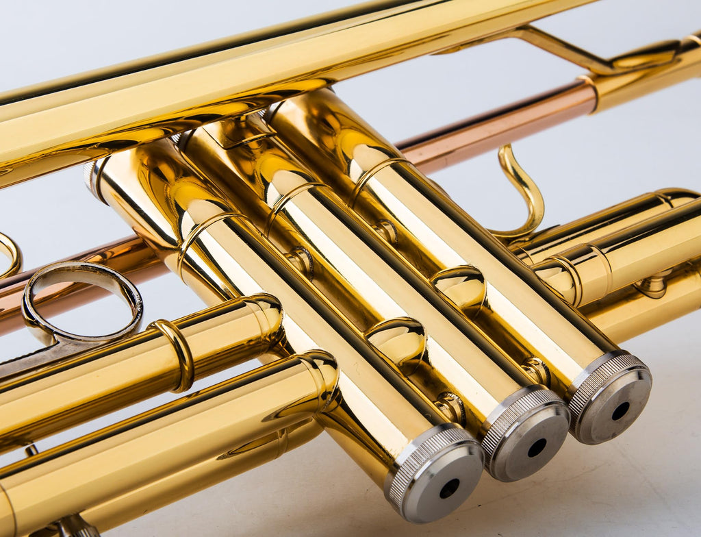 Glory Bb Trumpet - Trumpets for Beginner or Advanced Student with Case, pair of gloves-Gold