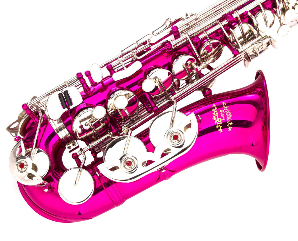 Glory Black Laquer E Flat Alto Saxophone with 11reeds,8 Pads cushions,case,carekit