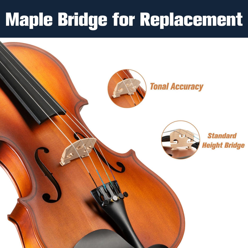 Mendini by Cecilio Violin 4/4 Full Size Kit For Beginners - Hand Carved Acoustic Violins Set - Fiddle Solid Wood Kit with Hard Case, Bow, Rosin, Shoulder Rest, Bridge and Extra Strings (Black)