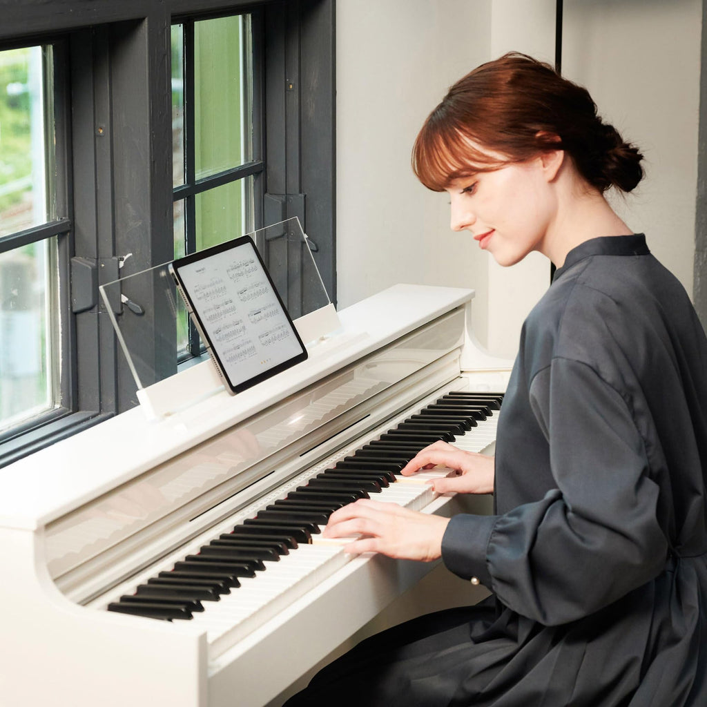 Casio AP-S200 CELVIANO 88-Key Digital Piano - Black Bundle with Furniture Bench, Headphones, Instructional Book, Austin Bazaar Instructional DVD, and Polishing Cloth