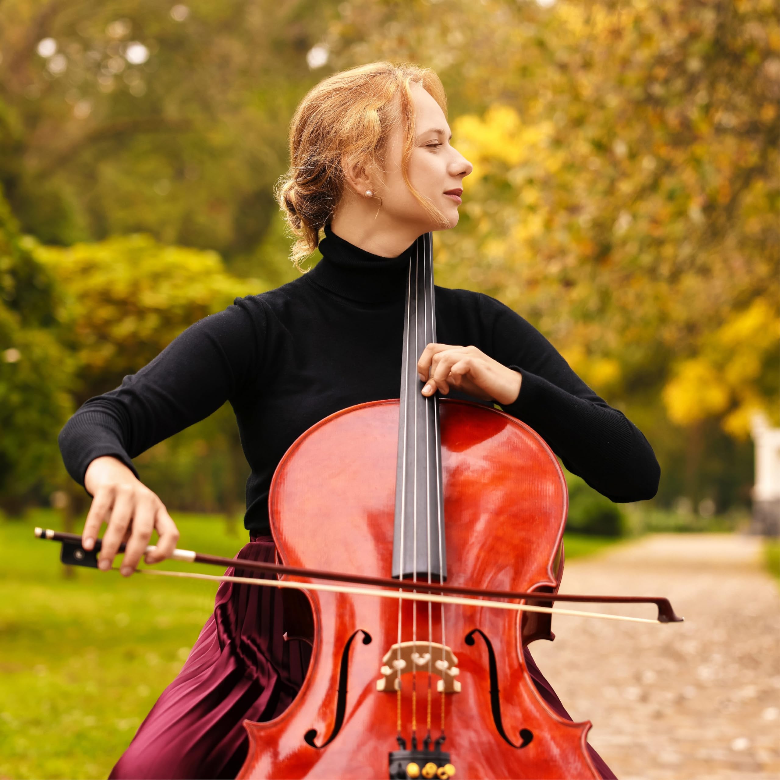 Cecilio 4/4 Full Size Cello, Beginner Cello 4/4, Acoustic Cello Set with Portable Bag, Bow, Rosin, Stand, String Musical Instruments for School Orchestras, Performances