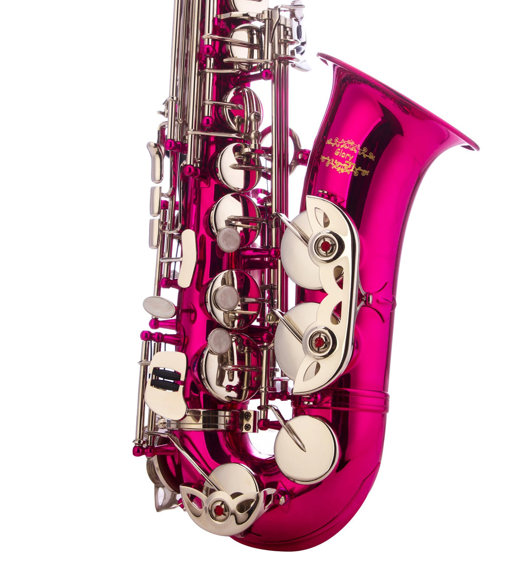 Glory Black Laquer E Flat Alto Saxophone with 11reeds,8 Pads cushions,case,carekit