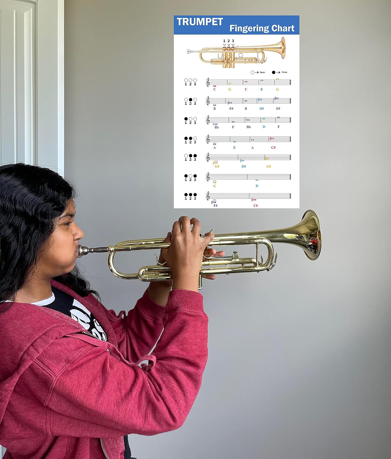 QMG Trumpet Fingering Chart with Color-Coded Notes, Learn Trumpet Technique Suitable for All Levels, Made in the USA