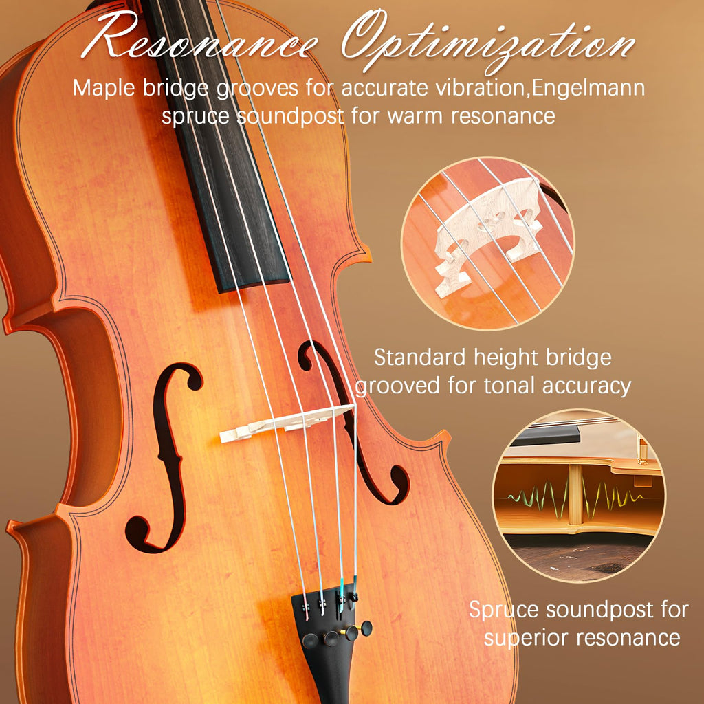 Cello 4/4 Kit, Full Size Cello for Adults, Students, Beginners, Complete Acoustic Cello Instrument Set with Portable Bag, Bow, Rosin, Black