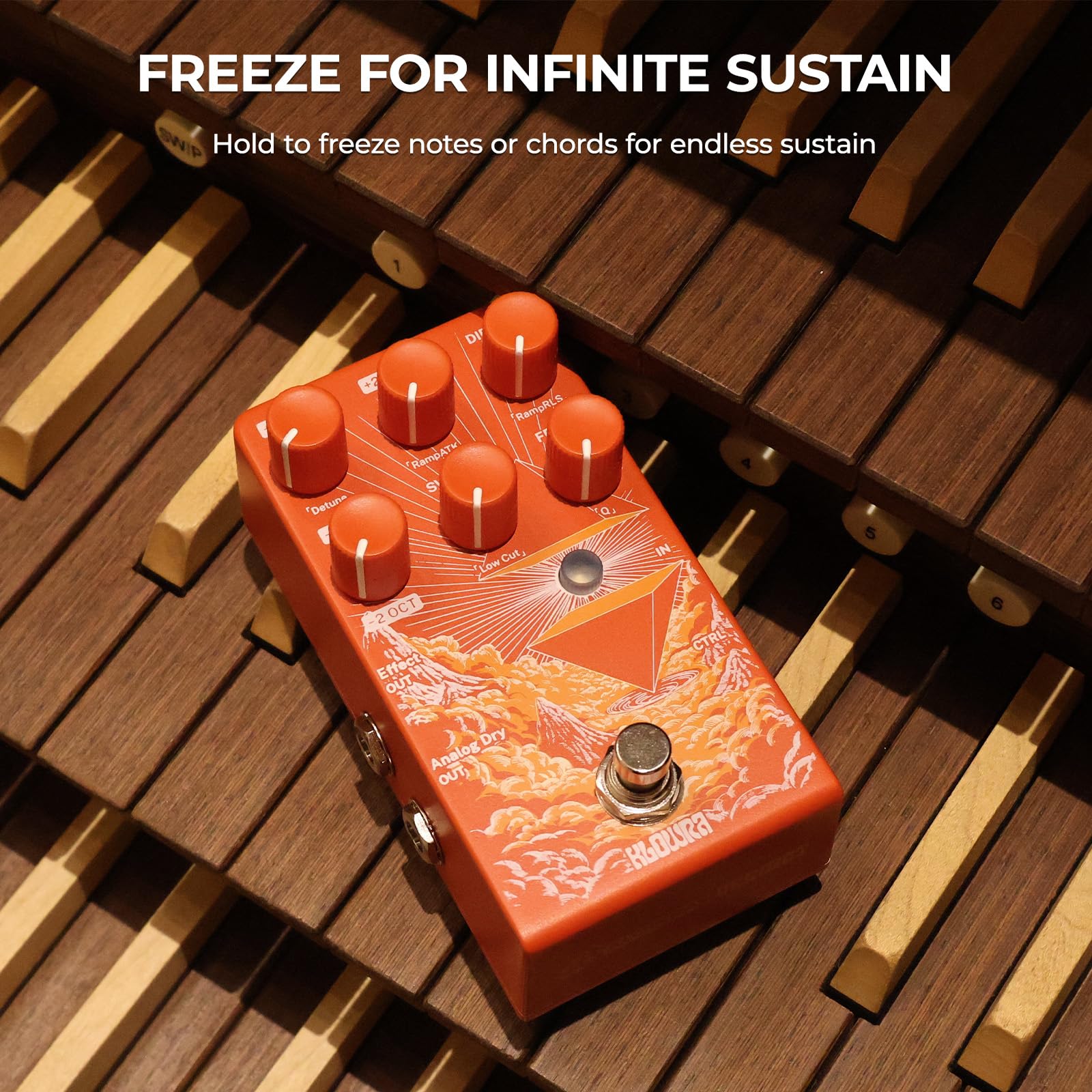 Verdict Polyphonic Octave Pedal for Guitar & Bass - Pitch Shifter with Synth, Organ & Cello Emulation; Zero Tone Loss Analog Dry-Through for Live Gigs & Studio; Freeze & Swell Ambient Effects