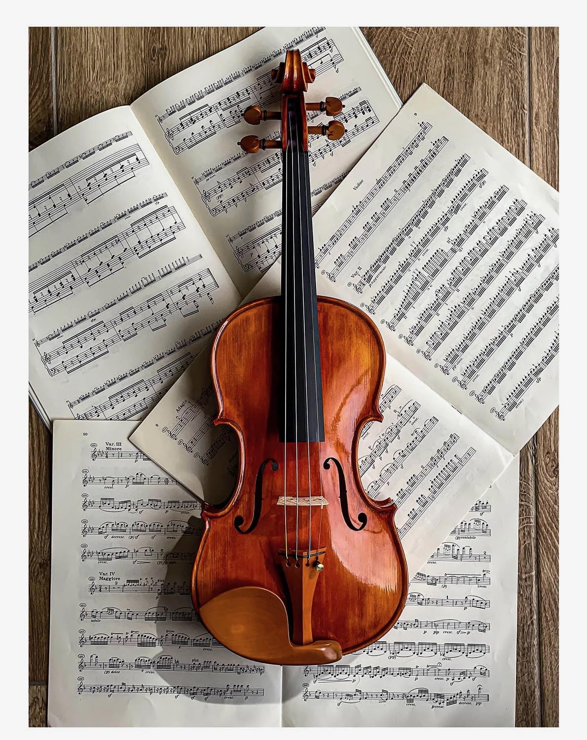 Conrad Götz, ZK-4254, Guarneri Chinrest for Violin 4/4, Rosewood