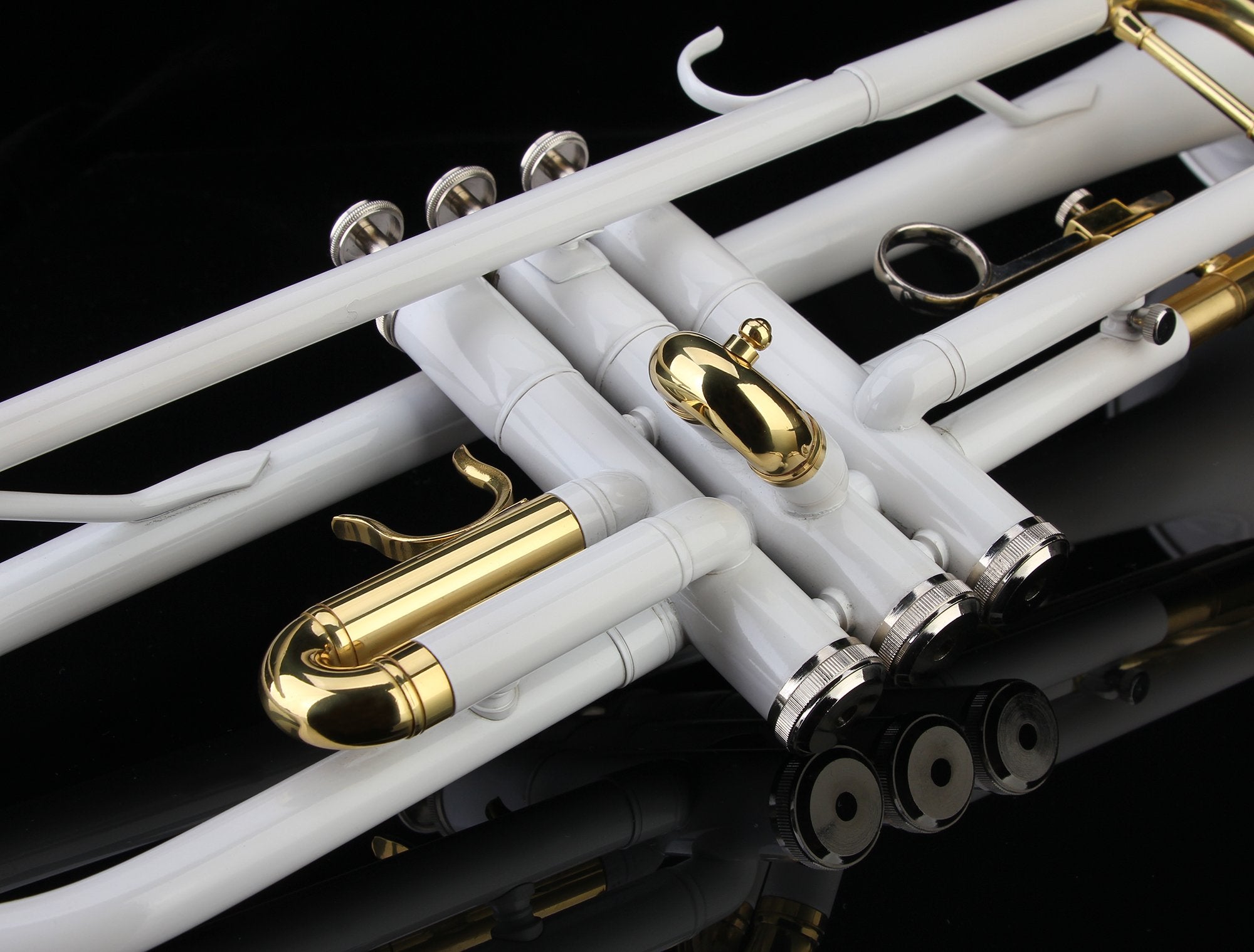 Glory Bb Trumpet - Trumpets for Beginner or Advanced Student with Case, pair of gloves-Gold