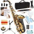 Kmise E Flat Alto Saxophone, Lightweight Saxophones for Students Beginner, Saxofon Full Kit with Portable Case, Sax Stand, Strap, Reeds, Beginner's Guides, Mute, Cleaning Kit (Gold Lacquer)