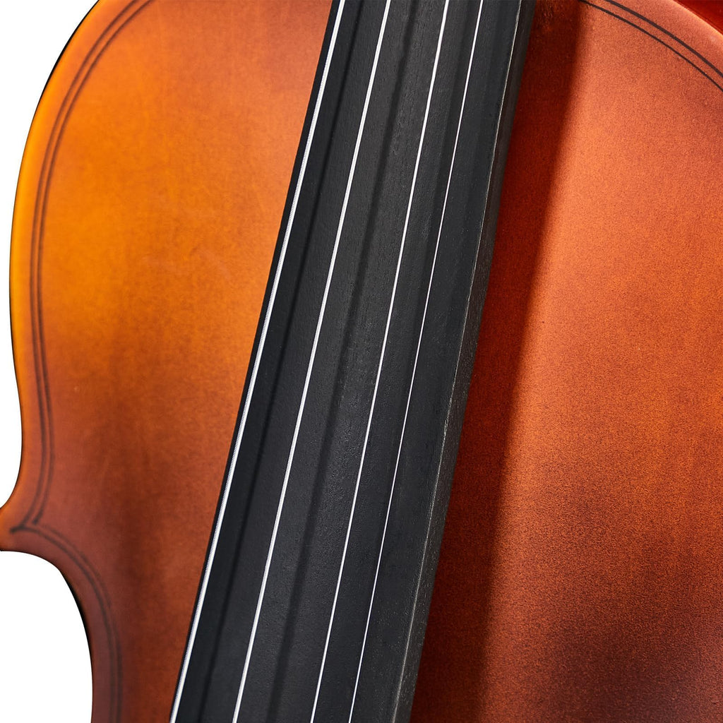 4/4 Full Size Beginner Violin, Acoustic Fiddle Set for Adults, Teens, and Students (Age 12+), with Case, Bow, Bridge, and Rosin (Pink)