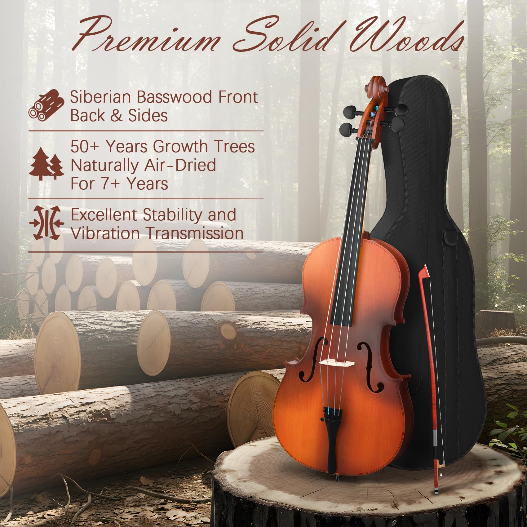 Full Size Cello Kit, Acoustic Cello Instrument for Adults,Beginners,Students,Complete Cello 4/4 Set with Portable Bag, Bow, Rosin (Black)