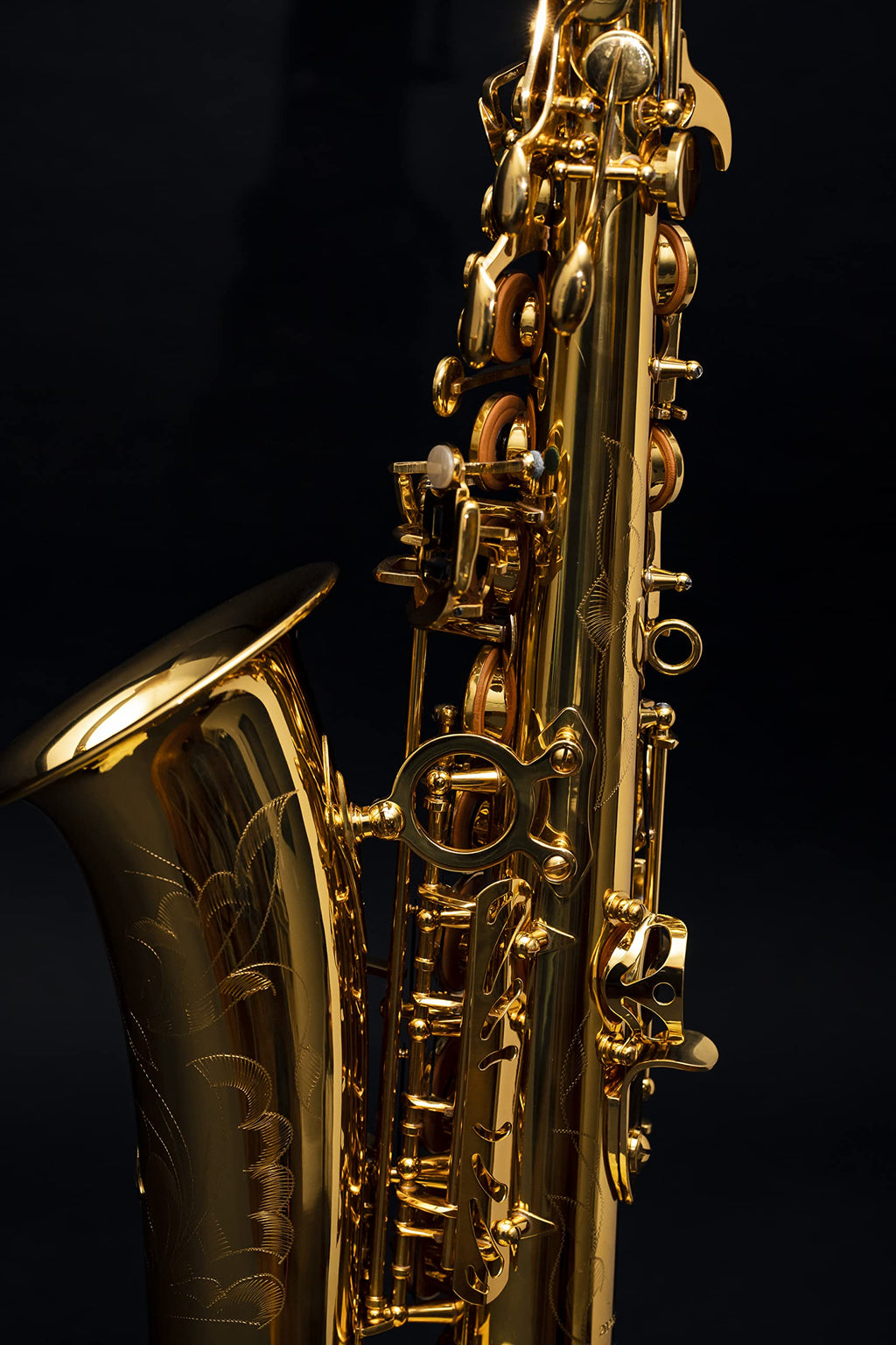 Saxophone Herche Superior Alto Saxophone X3 | Professional Instruments for All Levels | High F# Key | Educator Approved & Service Plan