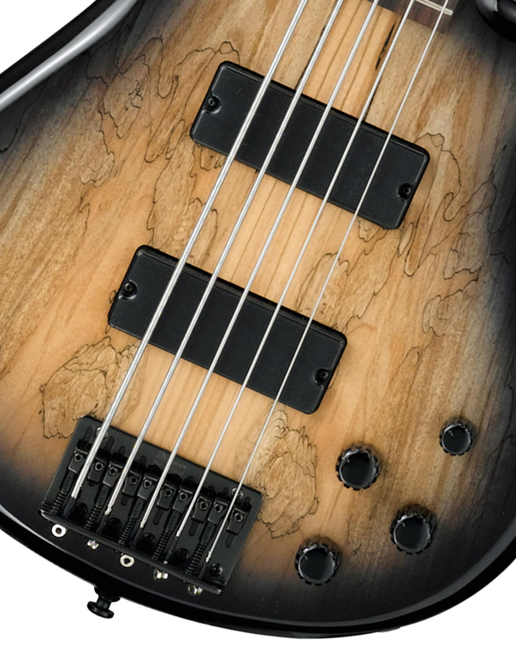 Ibanez GSR205B SR Gio 5-String Bass Guitar - Walnut Flat Bundle with Gig Bag, Tuner, Strap, Cable, Austin Bazaar Instructional DVD, and Polishing Cloth